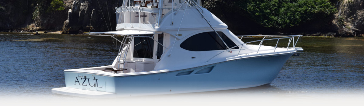 2015 Tiara Yachts 3900 Convertible Hampton Watercraft & Marine at Eastport, Southampton, and Riverhead